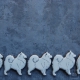 Pies Samoyed / Samojed