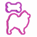Pies Samoyed / Samojed